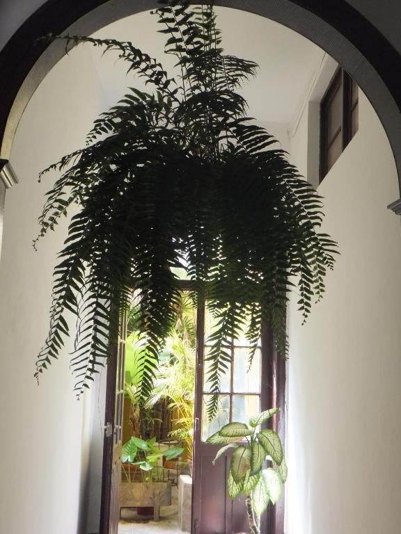 מלון סנטה קרוז דה טנריף Casa Colonial Cejas מראה חיצוני תמונה