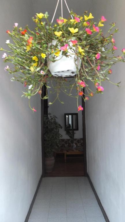 מלון סנטה קרוז דה טנריף Casa Colonial Cejas מראה חיצוני תמונה