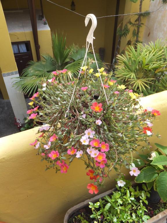מלון סנטה קרוז דה טנריף Casa Colonial Cejas מראה חיצוני תמונה